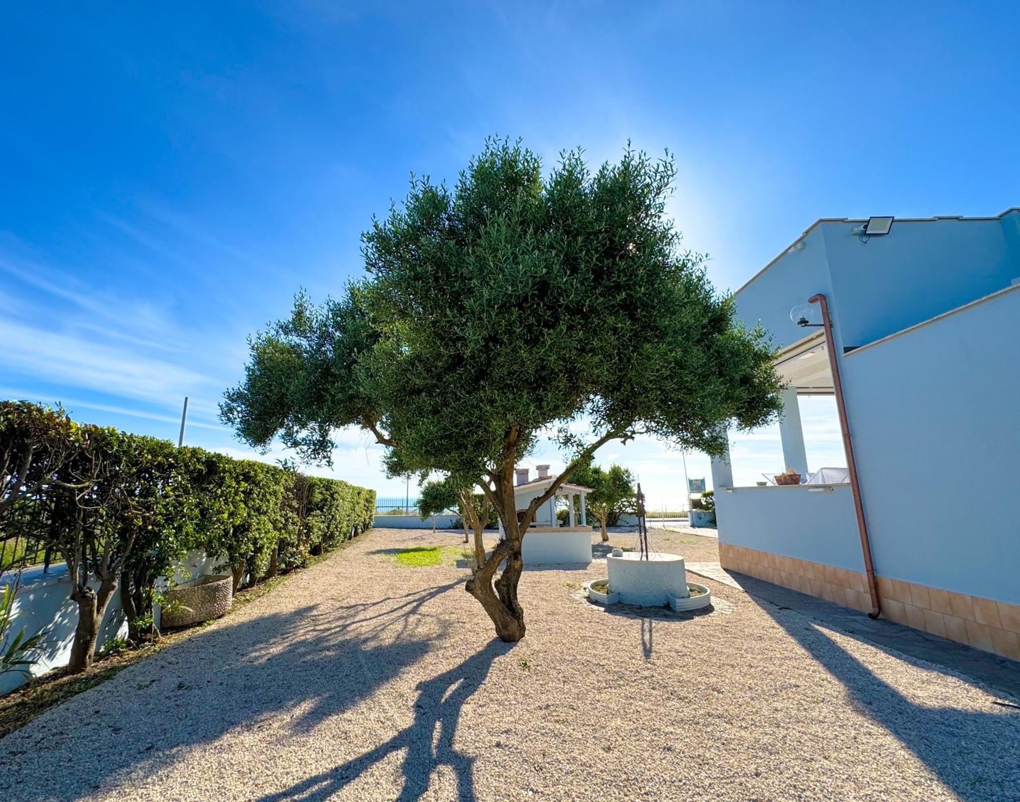 Edo House Anzio - Beachfront - Fronte Mare - Affittacamere Extérieur photo